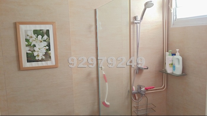 Blk 117 Clementi Street 13 (Clementi), HDB 4 Rooms #565062